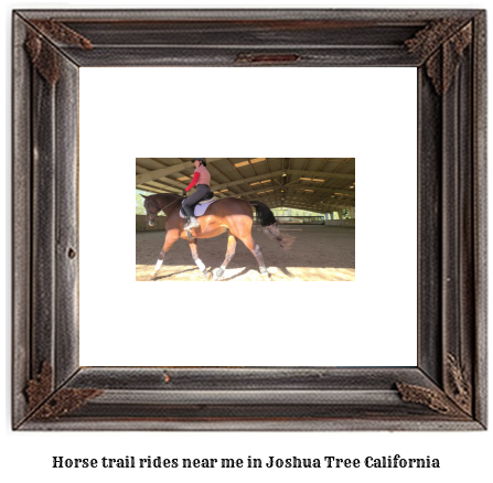 horse trail rides near me in Joshua Tree, California